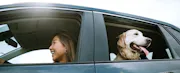 Woman driving a car with her dog in the back seat.