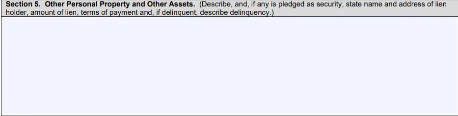 SBA Form 413 section 5