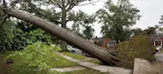 Texas Windstorm Insurance
