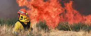 Wildfire Risk Highest in California, Florida, Texas