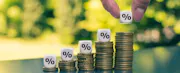 About Half of Cardholders Back a Credit Card Rate Cap