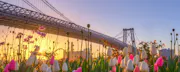 Some Spring Travelers Will Bring Home Debt as Souvenir