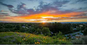 Best Homeowners Insurance in Montana